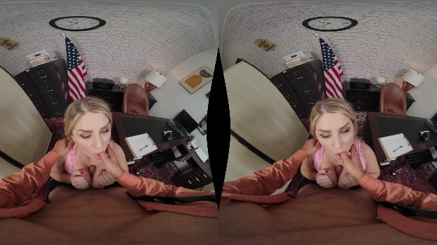 Povroriginals - Federal Boobie Inspector 3: For Good Measure - Riley Reign (2025.11.12) (gearvr) 1