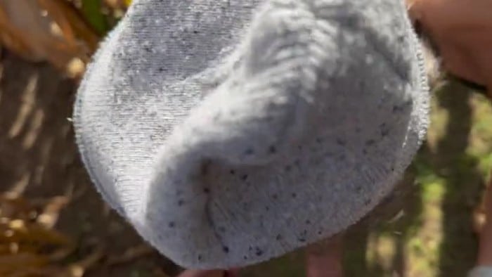 Wife Gets Spitroast And Double Creampie For Thanksgiving 3