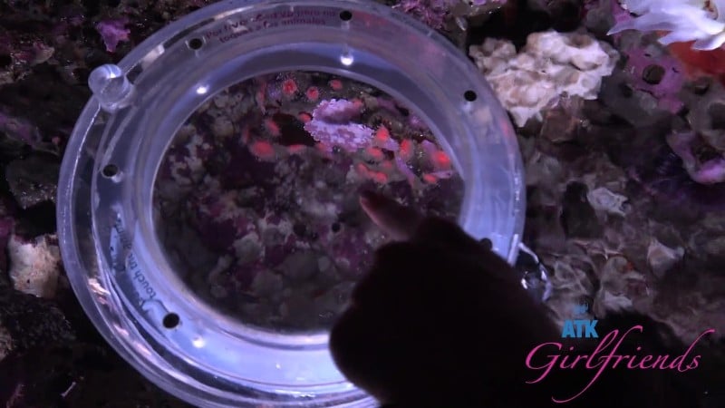 ATKGirlfriends 25/12/12 Summer Renee Norcal 5 FullHD 2