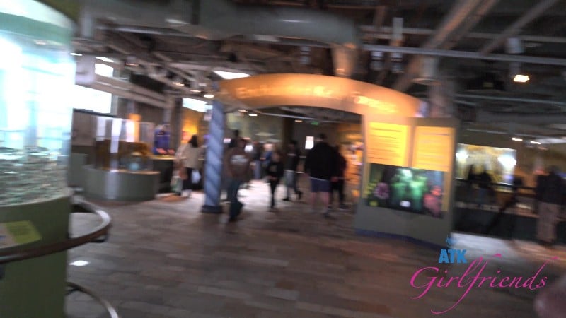 ATKGirlfriends 25/12/12 Summer Renee Norcal 5 4k 3