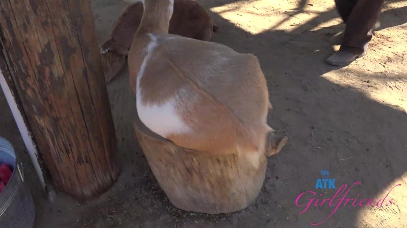 ATKGirlfriends 25/12/13 Dez Hansen Farm Date 1 FullHD 2