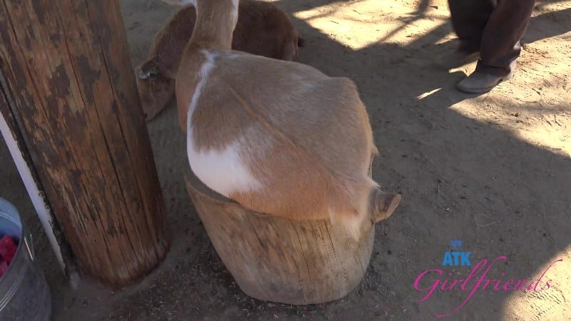 ATKGirlfriends 25/12/13 Dez Hansen Farm Date 1 4k 2