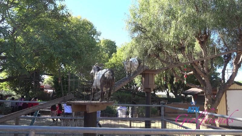 ATKGirlfriends 25/12/13 Dez Hansen Farm Date 1 4k 3