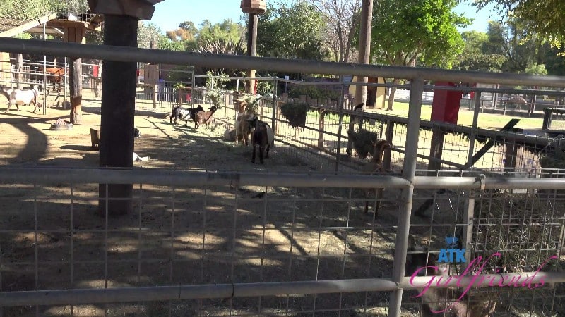 ATKGirlfriends 25/12/13 Dez Hansen Farm Date 1 4k 1