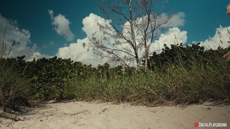 DigitalPlayground 25/12/11 Little Dragon A Survivors Paradise FullHD 5