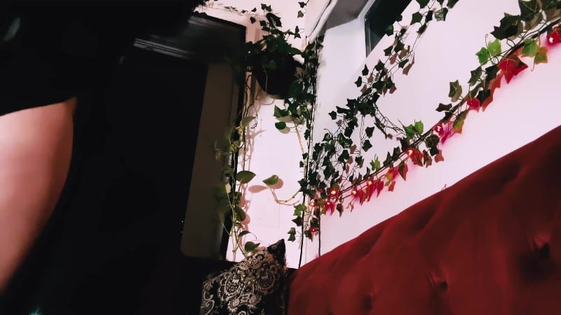 EnchantrixV - Vampire Draining I'llusion 15