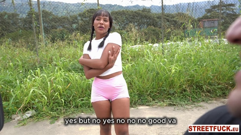 LittleCaprice-Dreams 25/12/19 Brittany Taylor Streetfuck FullHD 1