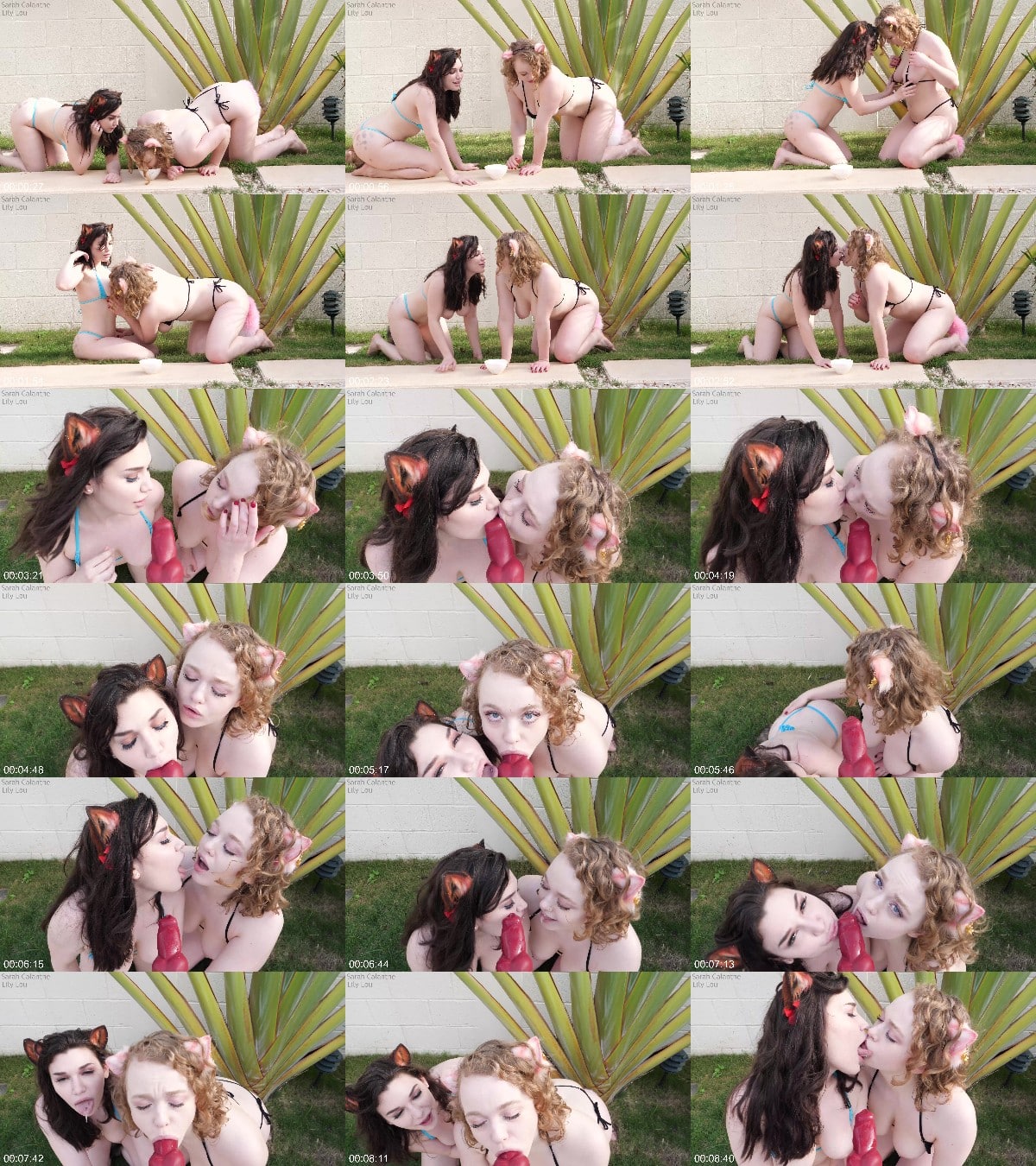 Sarah Calanthe - Cum hungry kittens 6