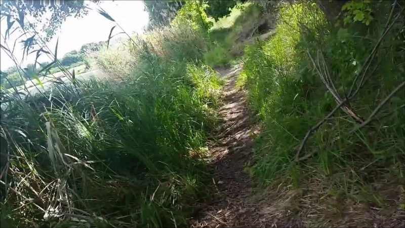 SnakeDave - Am See ins Kondom gewixxt und mit rumgespielt 2