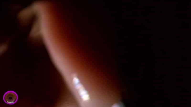 The Cirilla Emporium - Giantess Cirilla Couple Cuck 5