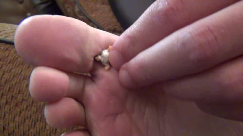 You-Ve-Been-A-Bad-Boy-Samantha-Babysits-Shrunken-Boy 5