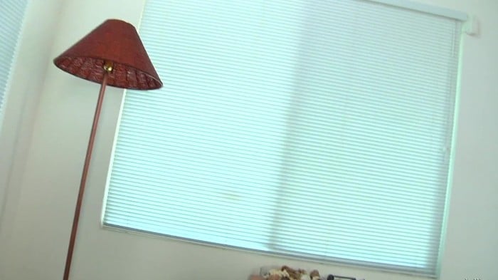 Alia Janine Career Megapack 3