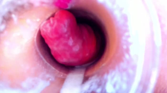 Hardcore Sluts Part 24 - Anal Fisting Required [CamWh0rders] 8