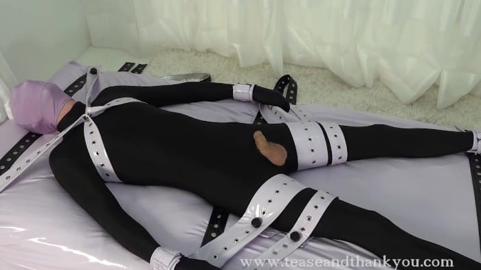 POV Experience - December 10, 2025 Teaseandthankyou.Com Megapack (85 Videos) 12