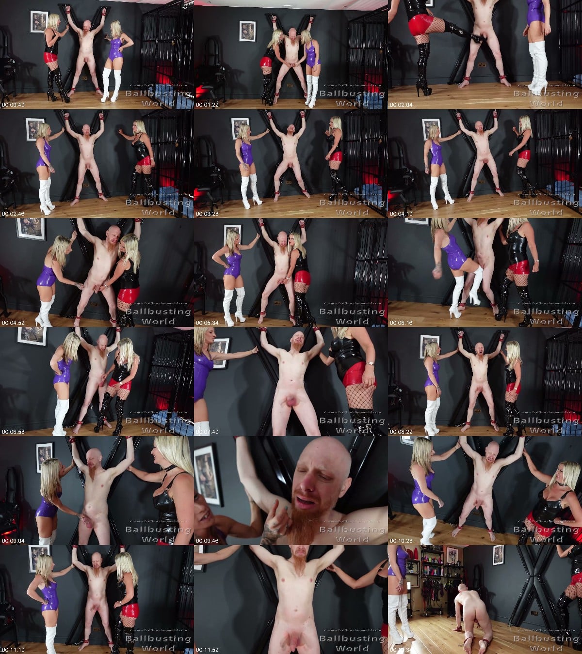 Ballbusting World PPV - Ballbusted Until He Cries By Nikki Whiplash Goddess Aveena Bb1697 6