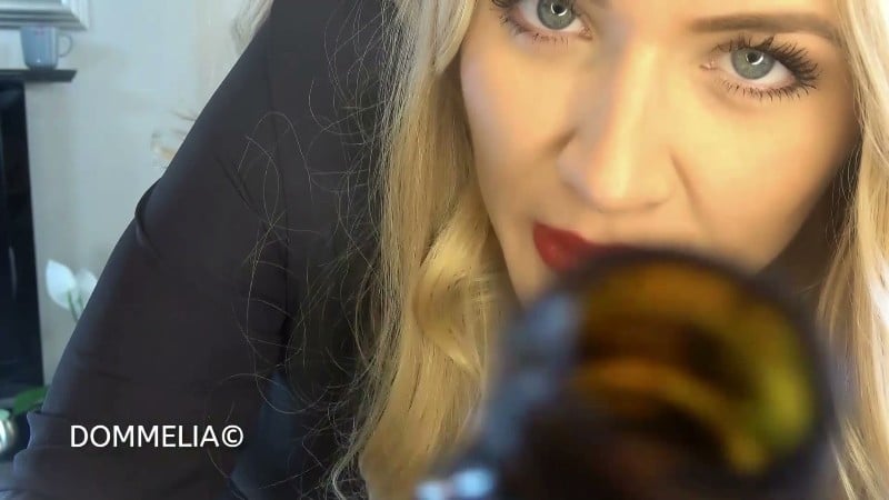 Dommelia - Your New Financial Adviser - Mesmerize 13