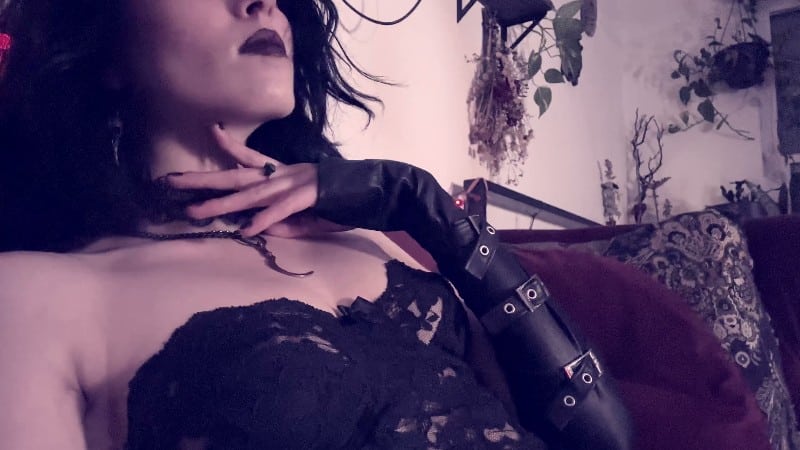 EnchantrixV - Fever Dream Blu 3