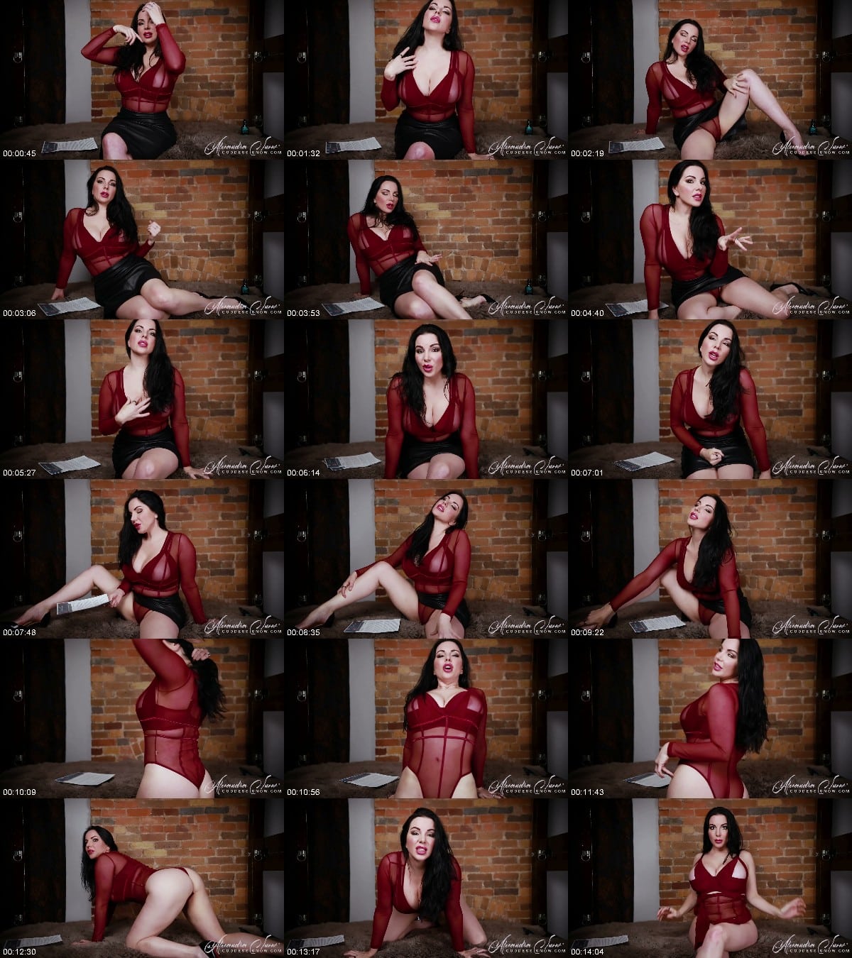 Goddess Alexandra Snow - 2 Hour Goon 6