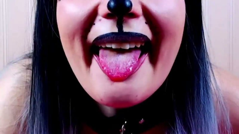 JuliaCrown - Custom Pet of your dream 4