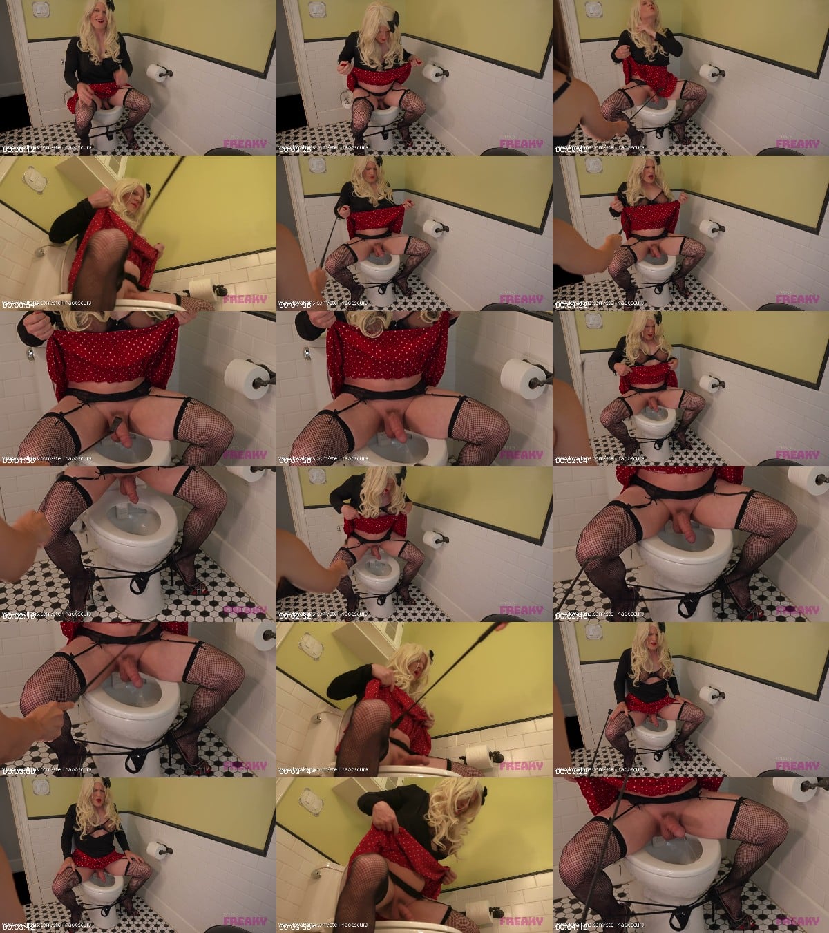 Mistress Stellina Obscura - Studio Freaky - Toilet Training 101! 6