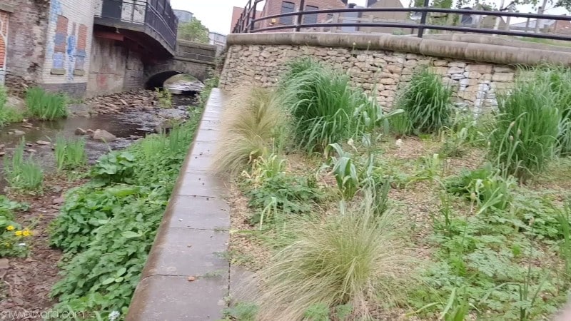 Panty-peeing-by-the-stream 2