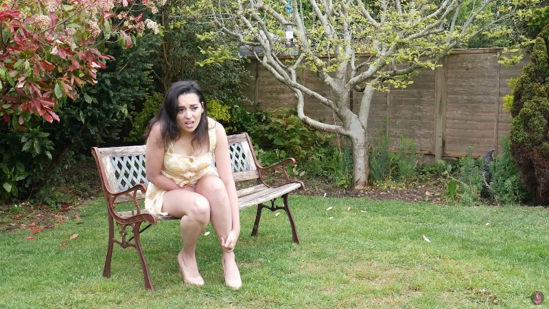 Summer Fox - The Work Colleagues Part 7 2