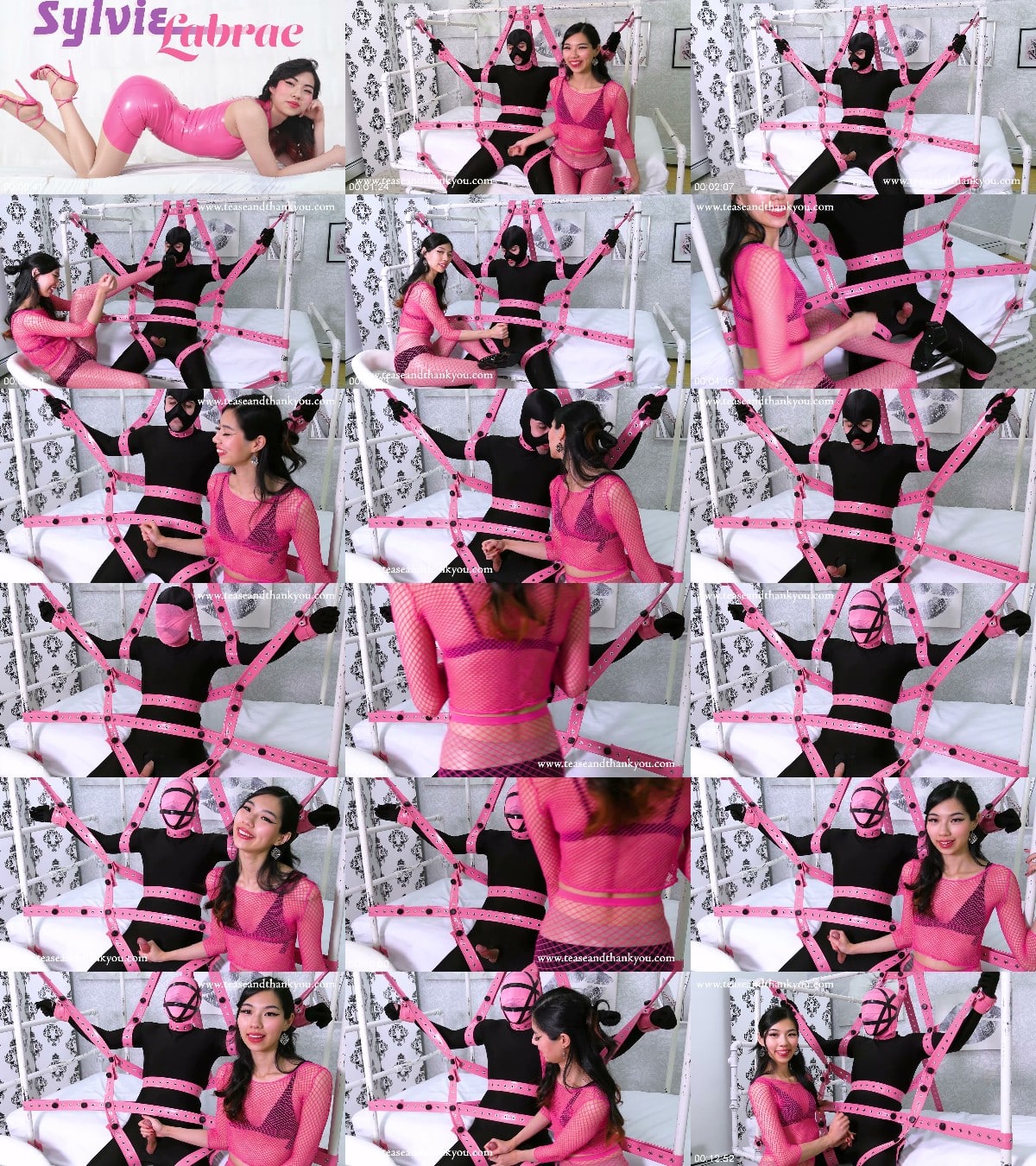 Tease and Thank You - Worth The Risk - Sylvie 6