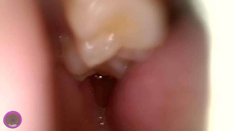 The Cirilla Emporium - Giantess Cirilla - I Ate My First Date 4