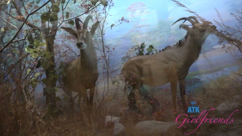 ATKGirlfriends 26/01/29 Summer Renee Norcal 9 FullHD 3