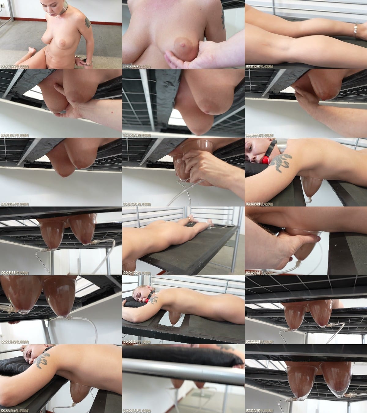 HuCows 26/01/03 Darina Udder Stretching FullHD 6