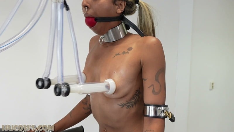 HuCows 26/01/17 Thiccy Niccy On The Treadmill FullHD 4