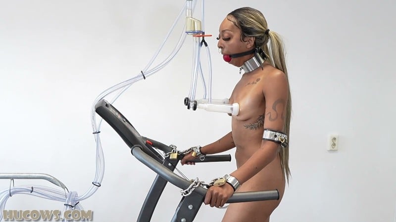 HuCows 26/01/17 Thiccy Niccy On The Treadmill FullHD 5