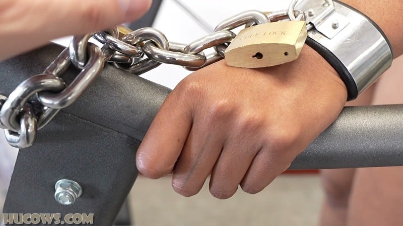 HuCows 26/01/17 Thiccy Niccy On The Treadmill FullHD 8