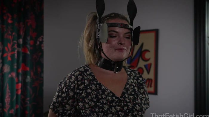 That Bondage Girl - Housewife To Ponygirl 2