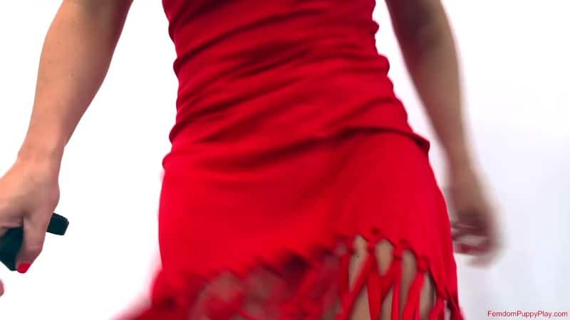 Femdom Puppy Play - Carmen Valentina Trains Her Bad Nephew 5