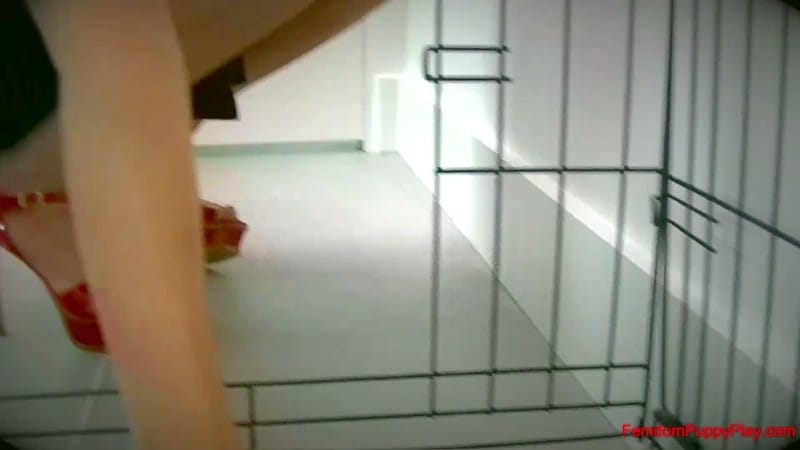 Femdom Puppy Play - Lexi Luna Prepares The For Her Big Date 4