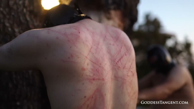 Goddess Tangent World of Femdom - Whipped Til Dusk 4