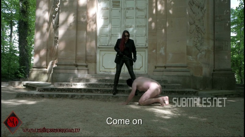 Mistress Morrigan - HUMILIATION IN THE PALACE GARDENS 3