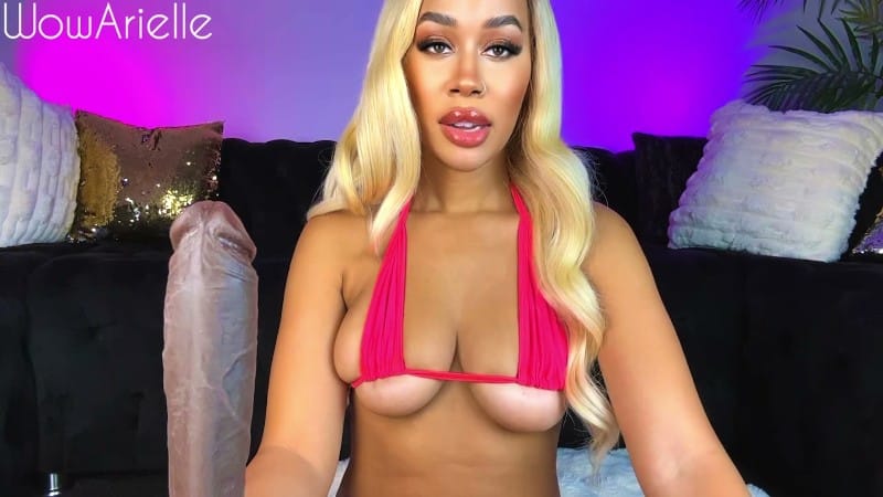 WowArielle - Sissy Slut Size Queen 24