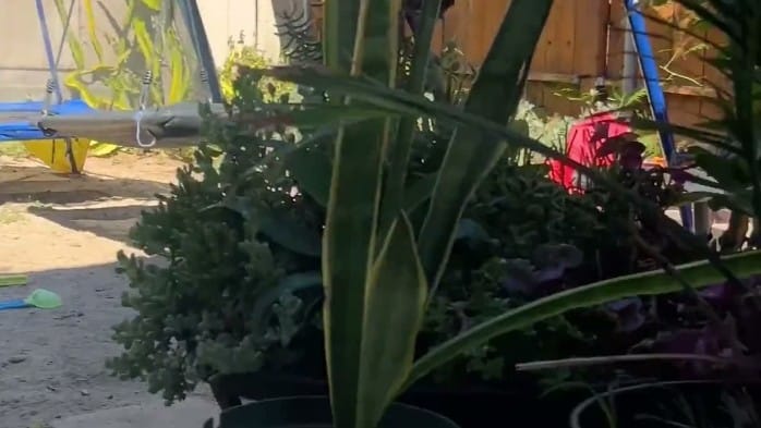 Amateur Pregnant Milf Secretly Masturbating 2