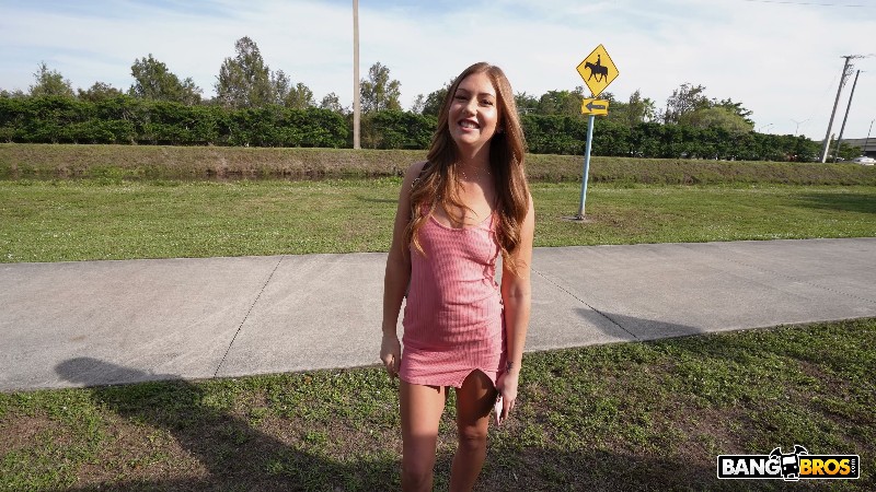 [BangBus | BangBros] 26/02/04 Kimmie Haze 4k 1