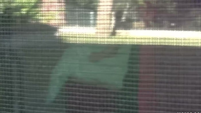 Mofos Siterip 2009-2025 H265 Part 6 Megapack 28