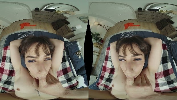 Wankzvr - Anal & Abetting - Chanel Camryn (2026.02.20) (gearvr) 4