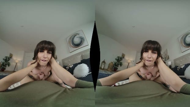 Wankzvr - Anal & Abetting - Chanel Camryn (2026.02.20) (gearvr) 9