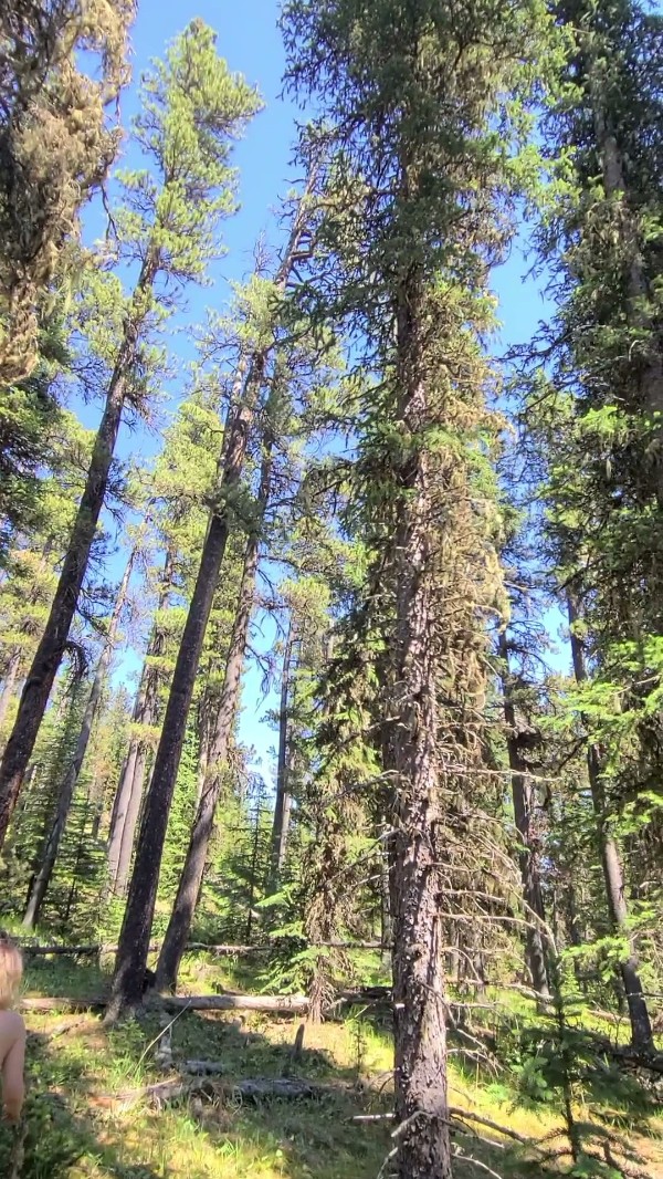 Hole of Fame (MV-OF-FS-PH-C4S) - March 28, 2026 Abbyfoxe (abby Foxe) Onlyfans! 4