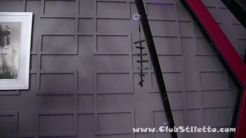 Club Stiletto - Buckle Up - Goddess Hazel 4