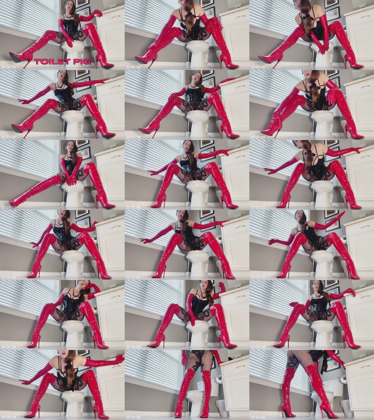 DommeTomorrow - TOILET PIG 6