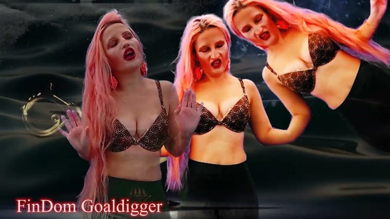 FinDom Goaldigger - Your arousal enlarging 4
