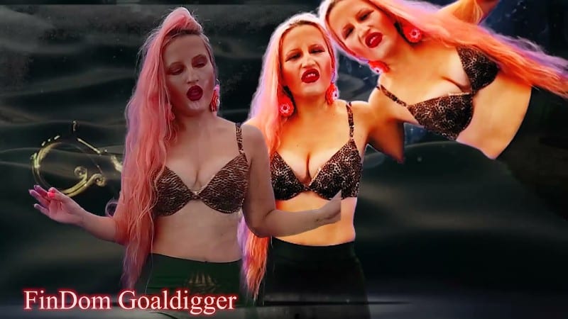 FinDom Goaldigger - Your arousal enlarging 5