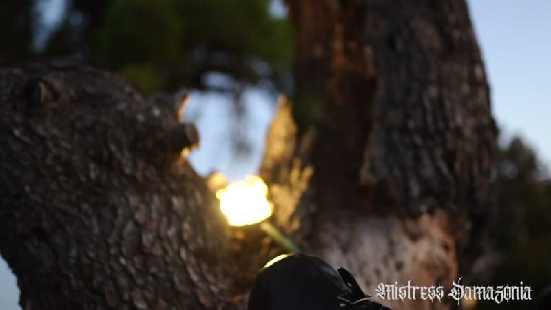 Mistress Damazonia - Whipped Til Dusk By A Coven Of Dommes 4